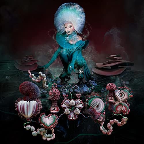 Bjork - Family Tree - Amazon.com Music